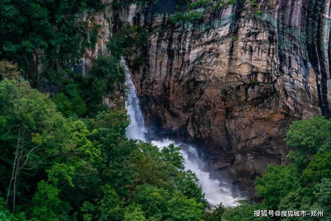 “绿叶子”变成“金叶子”